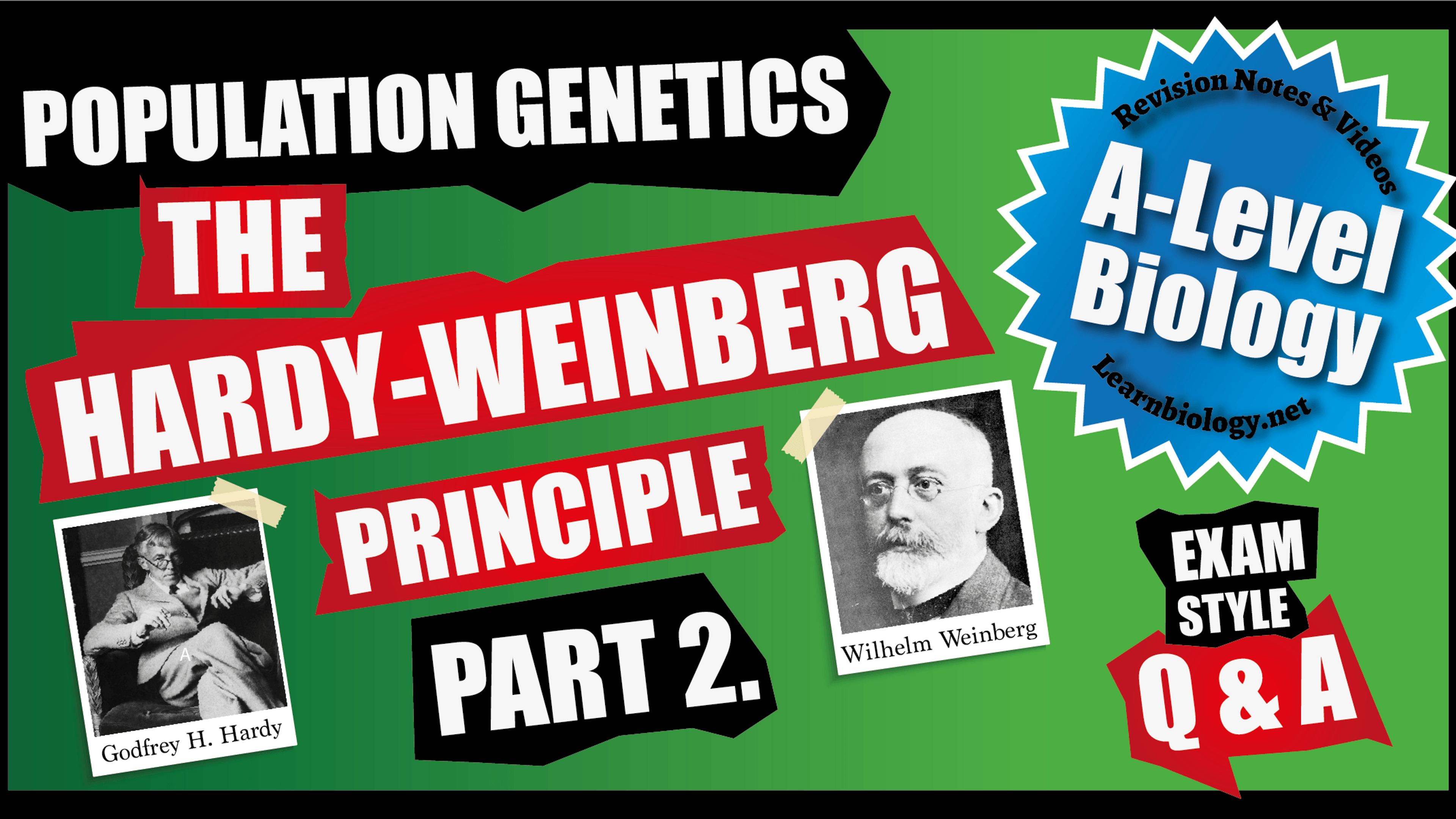 Hardy-Weinberg (part 2)